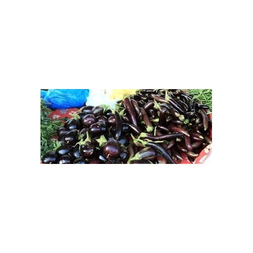 Mixed Eggplant Seeds for Planting [neera-v5-728c443ab4b7e8c73dfa]