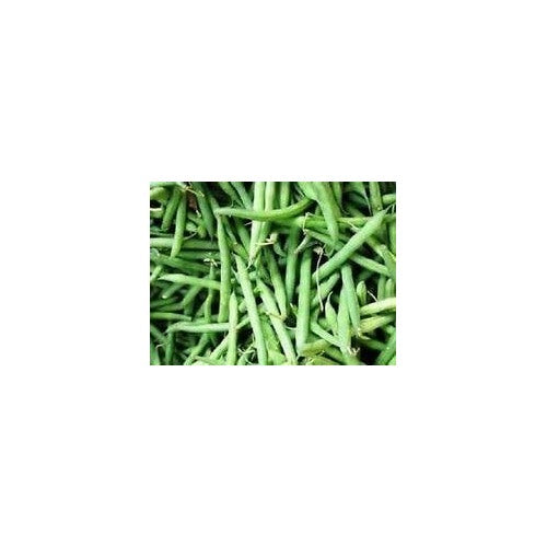 Green Bush Bean Seeds for Planting [neera-v5-72aa82d6fde4085c1b20]