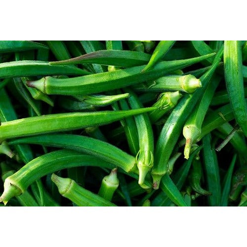 Okra Seeds for Vegetable Garden [neera-v5-72f77dce29303e8dca23]