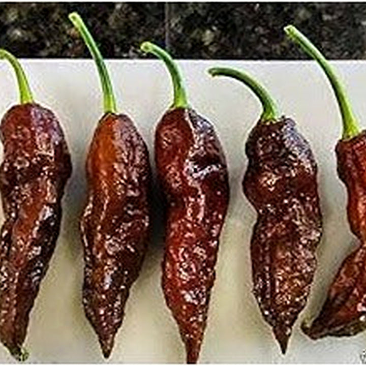 Brown Bhut Jolokia Vegetable Seeds for Planting [neera-v5-73ce2f5429d856c07d62]