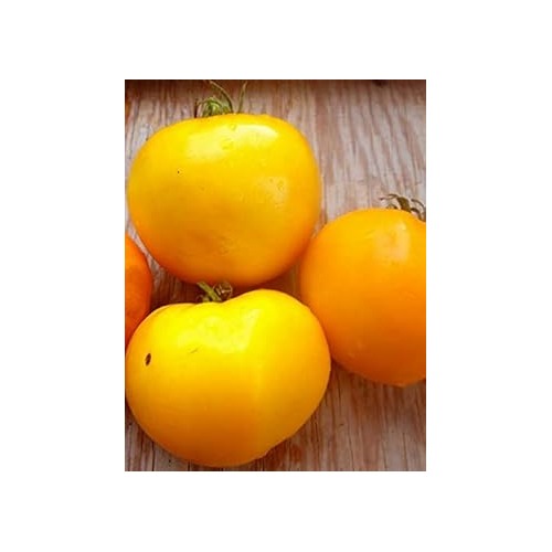 Heirloom Deep Yellow Tomato Seeds [neera-v5-7434788d9df18af7afad]