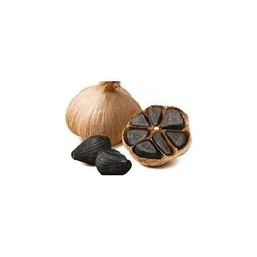 Black Garlic Herb Seeds for Planting [neera-v5-75280908d64143042795]