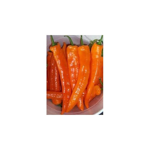 Orange Pepper Vegetable Seeds for Planting [neera-v5-75ff022e74c0473f6407]