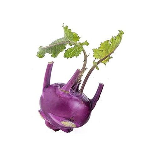 Kohlrabi Purple Vienna Seeds for Planting [neera-v5-762cb957d57fabfca521]