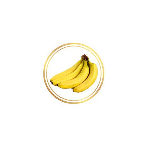 Giant Cavendish (Williams Banana) Fruit Seeds for Planting [neera-v5-77b5bd4a5e76fe61a6e4]