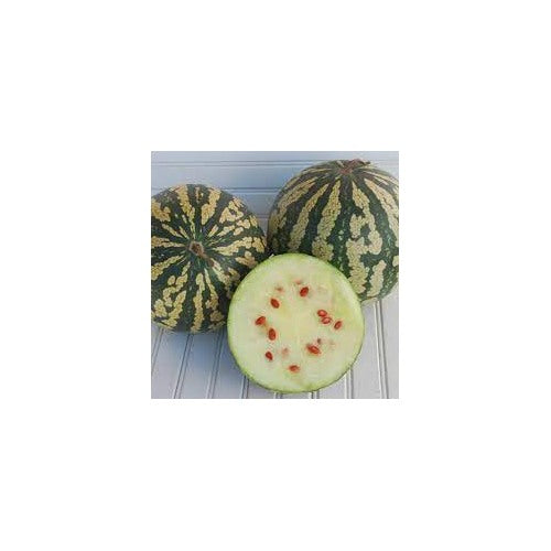 Citron Red Watermelon Seeds for Planting [neera-v5-77ef8af043519adddb4d]