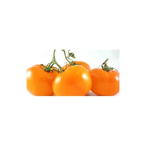 Deep Orange Tomato Seeds for Planting [neera-v5-781879acd861de815782]