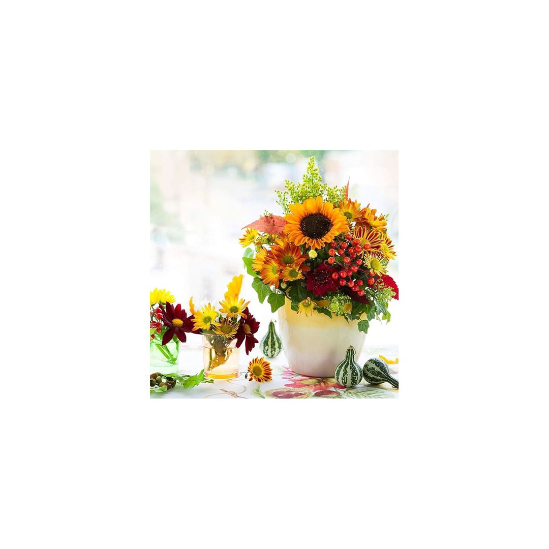 Yellow Marigold Tagetes Erecta Pusa Basant Drought Tolerant Flower Flower Seeds for Home Garden [neera-v5-7884ce4ba937a10d53bc]