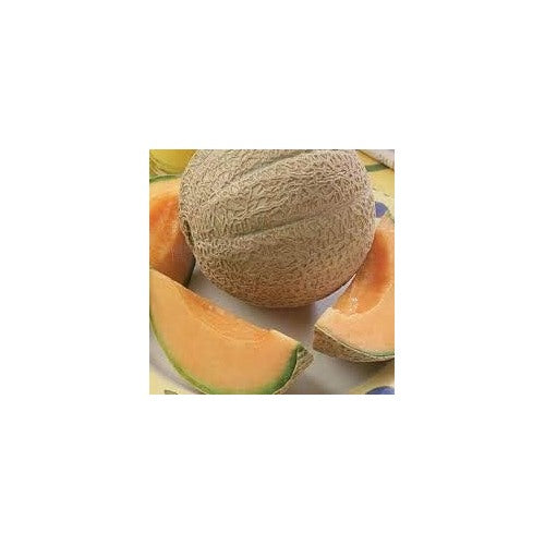 Light Orange Cantaloupe Melon Fruit Seeds [neera-v5-7891db9bd6cbfdf1c80a]