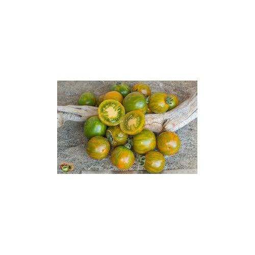 Orange Green Tomato Vegetable Seeds for Planting [neera-v5-78a466e51a5d4ce08af0]