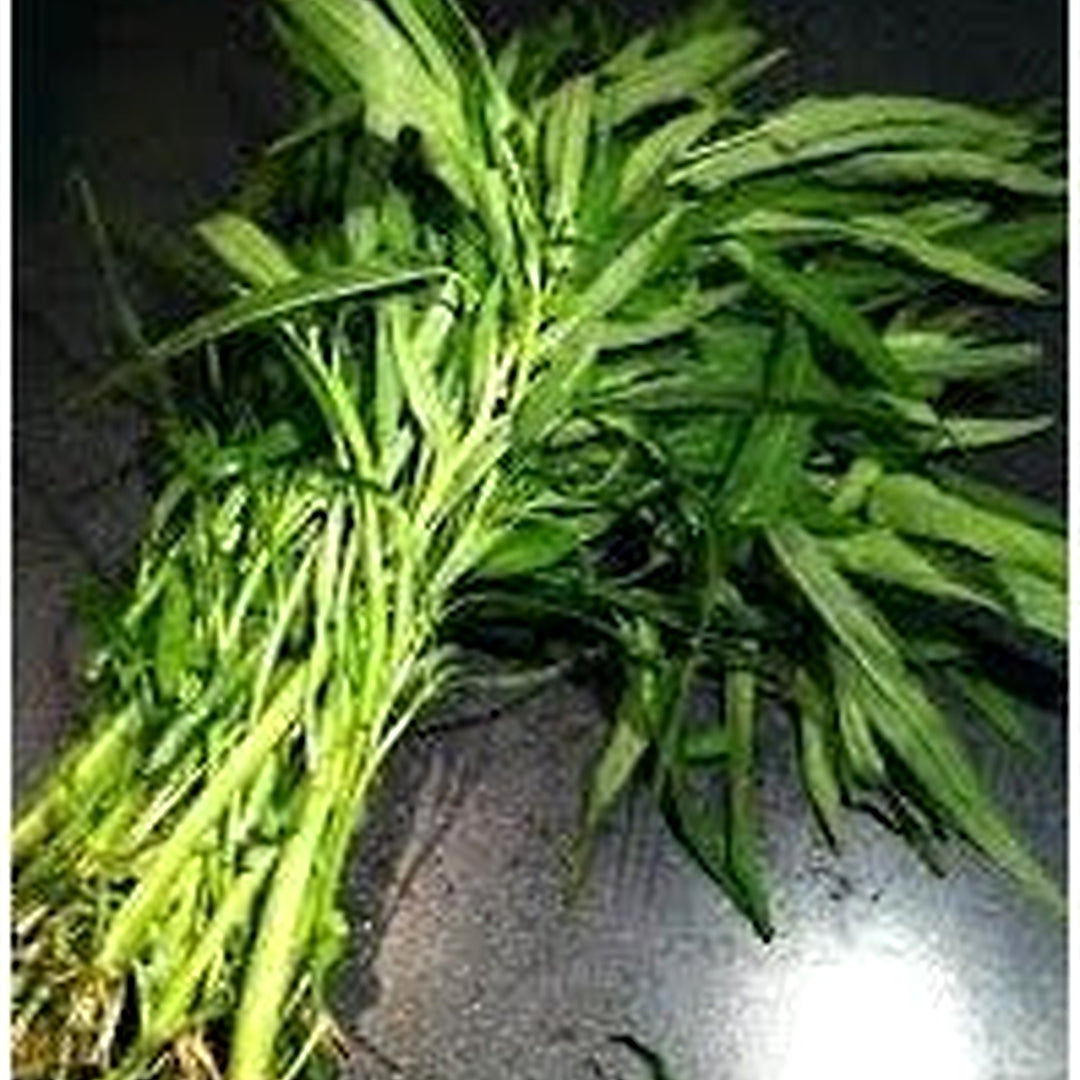 Pak-Boong Seeds for Planting [neera-v5-78df2a62d6323e200aa9]