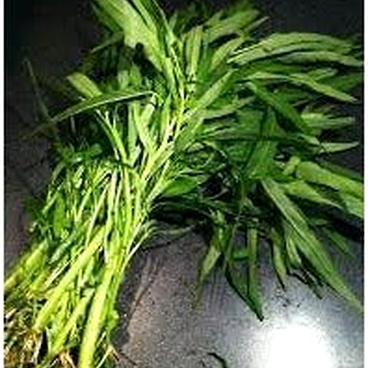 Pak-Boong Seeds for Planting [neera-v5-78df2a62d6323e200aa9]