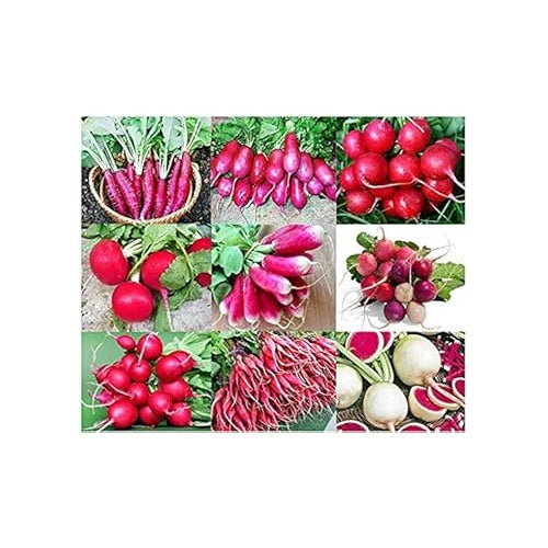 Mixed Radish Seeds for Planting [neera-v5-790b4147deab8d4c2027]