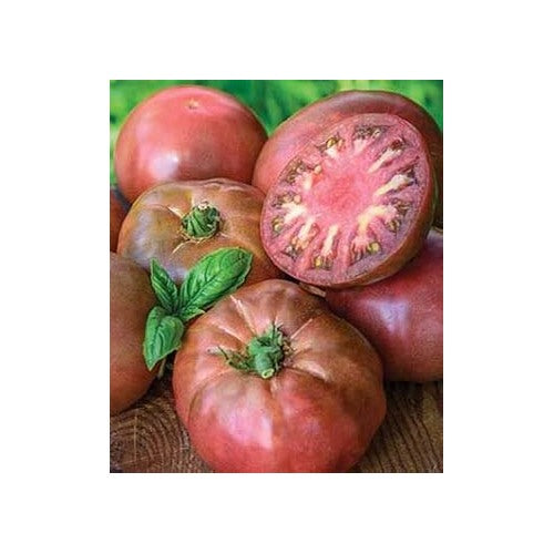 Dark Maroon Tomato Seeds for Planting [neera-v5-7b21f369576459bf1a5f]