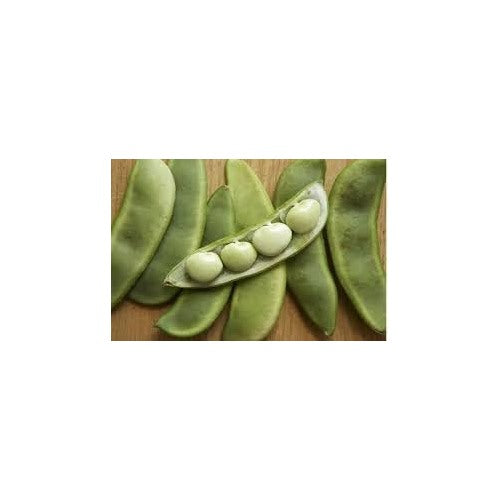 Bean Seeds for Vegetable Planting [neera-v5-7b81f785ce9fdd3bf8c8]