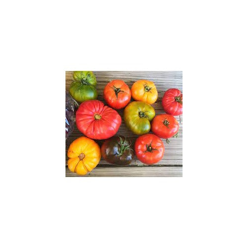 Heirloom Big Mixed Tomato Vegetable Seeds for Planting [neera-v5-7b9cf97d24c9db9f7f7a]