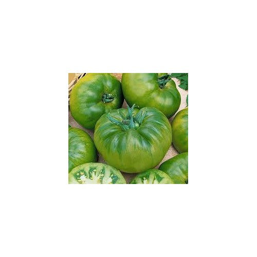 Green Cherokee Tomato Seeds for Planting [neera-v5-7bf590f93cc7e26e6326]