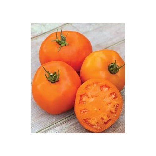 Orange Tomato Seeds for Planting [neera-v5-7c8c557fb71d5651c908]