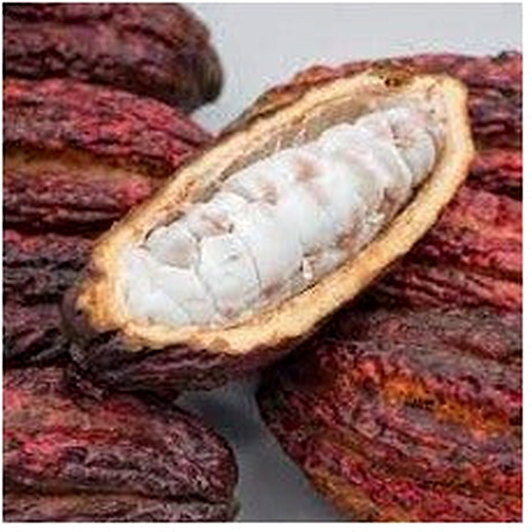 Cacao Fruit Seeds [neera-v5-7cdb702f80b00bd89a48]