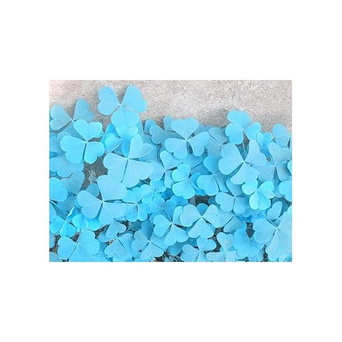Sky Blue Leaf Clover Plant Seeds [neera-v5-7cec0a26f27553fa750e]