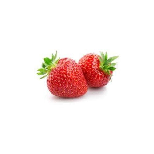 Japanese Hokowase Strawberry Fruit Seeds for Planting [neera-v5-7cf43fd7347572677709]