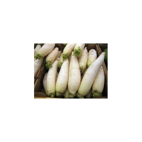 Radish Seeds for Planting [neera-v5-7d18281d248321a7371a]