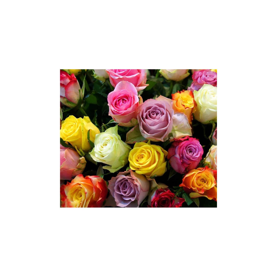 Rose Tree Flower For Planting Non Gmo Heirloom Garden For Vibrant Growth Flower Seeds for Home [neera-v5-7d7e6fe403b372a42733]