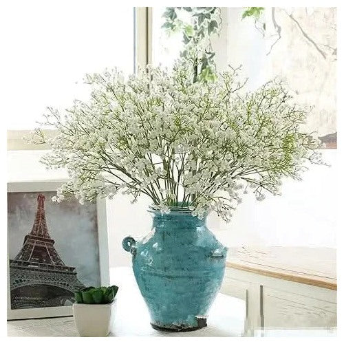 Gypsophila Rainbow Easy Grow Plant Flower Seeds for Home Garden Planting, Fragrant Organic Blooming [neera-v5-7d9c89754eae9ce71b4a]