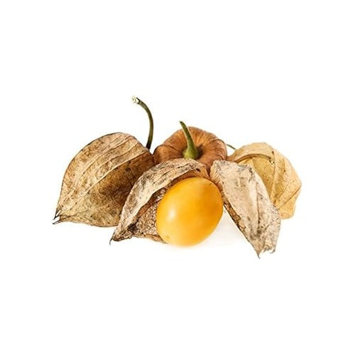 Orange Tomatillo Vegetable Seeds for Planting [neera-v5-7e21f828dcd4078f03a2]