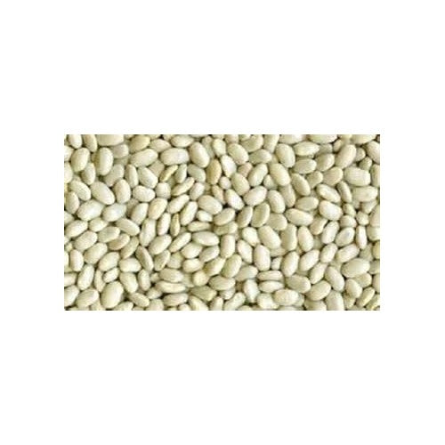 White Bean Seeds for Planting [neera-v5-7e5278ff1830bbddcb68]