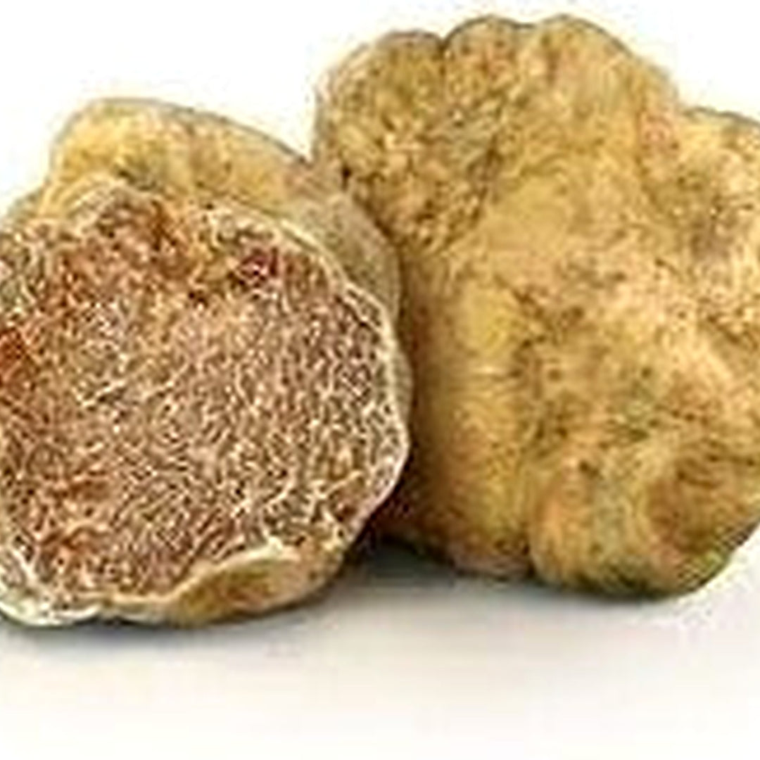 Tuber Magnatum Truffle Spawn for Planting [neera-v5-7ec8964ded0aee244b51]