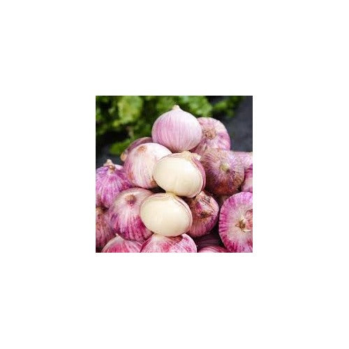Purple White Garlic Seeds for Planting [neera-v5-7f5e5aa8e24caadcaf0f]