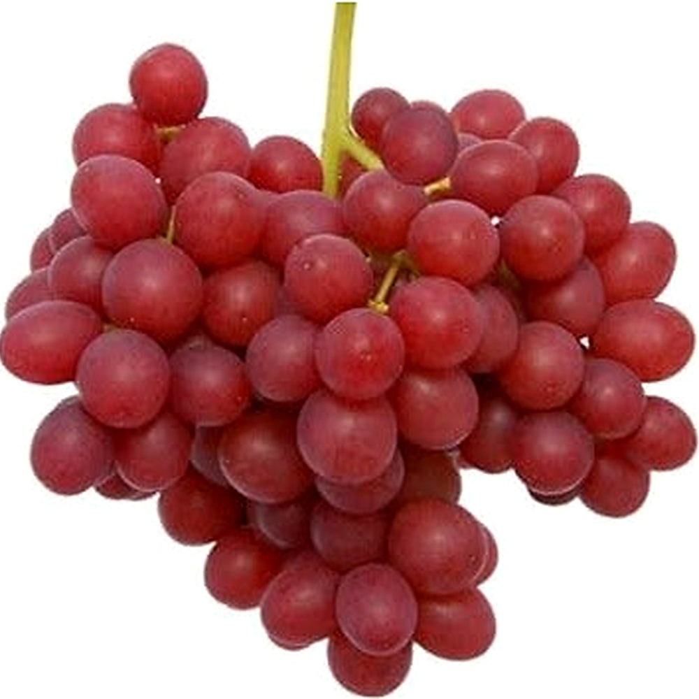 Red Grape Fruit Seeds for Planting [neera-v5-7f72997581c4152dba6c]