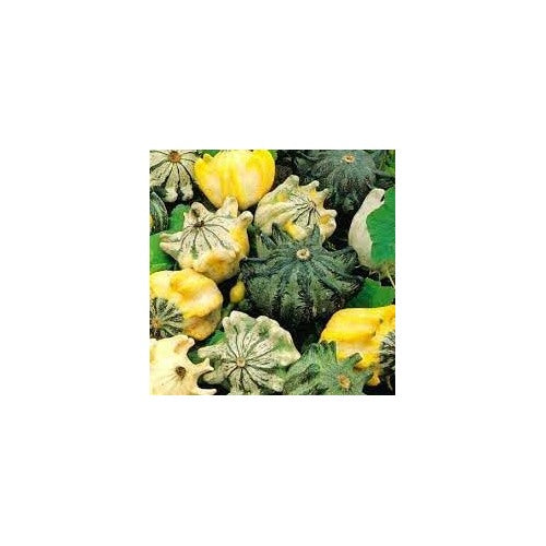 Thorn Pumpkin Vegetable Seeds for Planting [neera-v5-7fa32a1586d4f29fc854]
