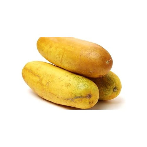 Thick Yellow Cucumber Vegetable Seeds for Planting [neera-v5-7fb721994668c79af417]