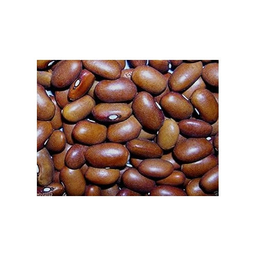 Brown Swedish Bean Seeds for Planting [neera-v5-7fe66f2bc67715a40b3b]