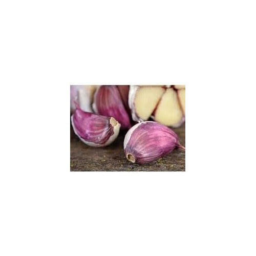 Purple Garlic Seeds for Planting [neera-v5-8121a53ea1b3c3f8f006]
