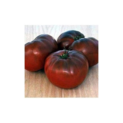 Maroon Red Tomato Seeds for Planting [neera-v5-818f1d4eb84dcda7a536]