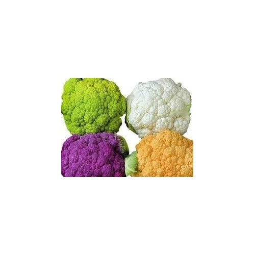 Heirloom Non-GMO Cauliflower Vegetable Seeds for Planting [neera-v5-81d2c91c1cac8a341bba]