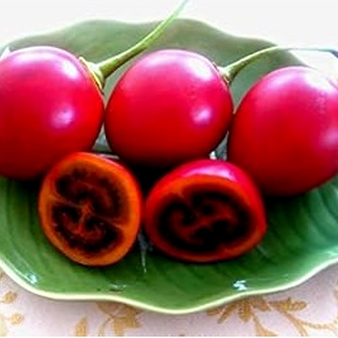 Red Tamarillo Seeds for Planting [neera-v5-82e71d9c725818734831]