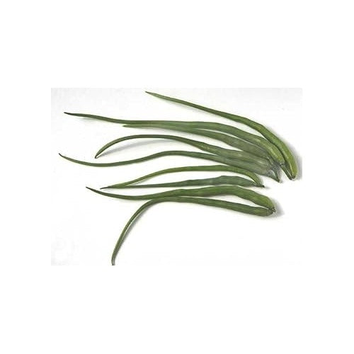 Radish Vegetable Seeds for Planting | Heirloom, Non-GMO, High Germination Organic Garden Seeds [neera-v5-82e92aed0ba1d383809b]