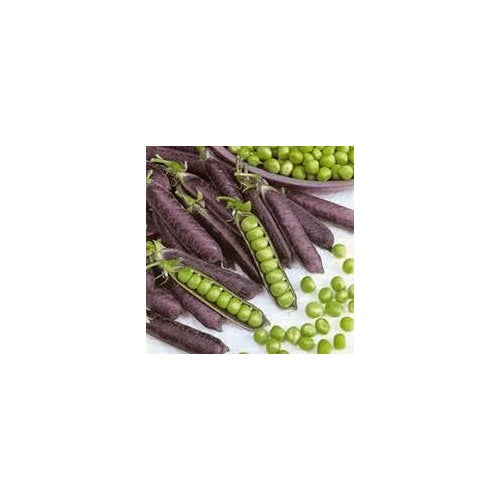 Pea Vegetable Seeds for Planting | Heirloom Non-GMO Organic Garden Seeds [neera-v5-82f81854f8569e6b5d3c]