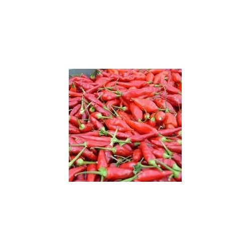 Guam Boonies Pepper Seeds [neera-v5-8352257953522dc61f06]