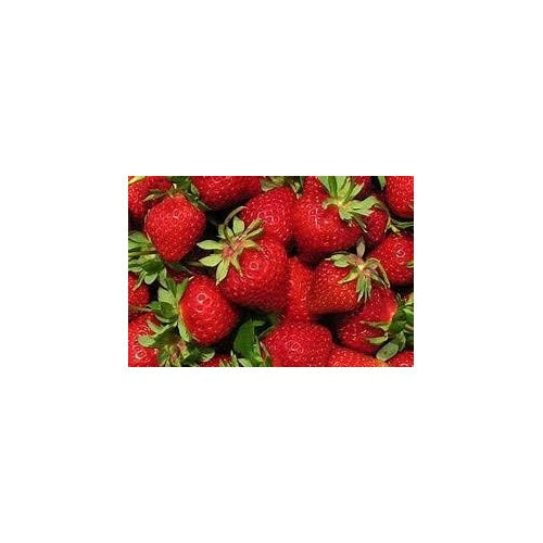 Japanese Hokowase Strawberry Fruit Seeds for Planting [neera-v5-8370e7a5ce310cac4096]