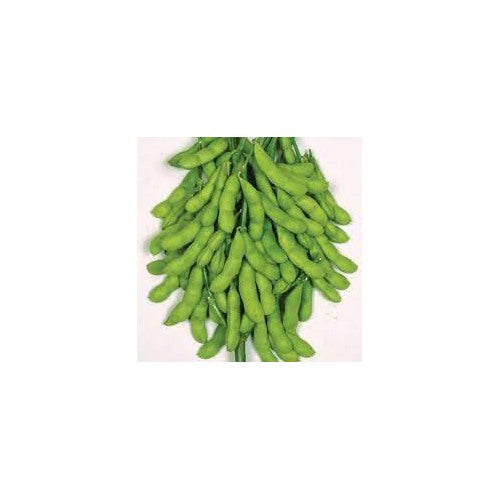 Green Soya Bean Vegetable Seeds for Planting [neera-v5-83f1d79d5385e5aa897b]