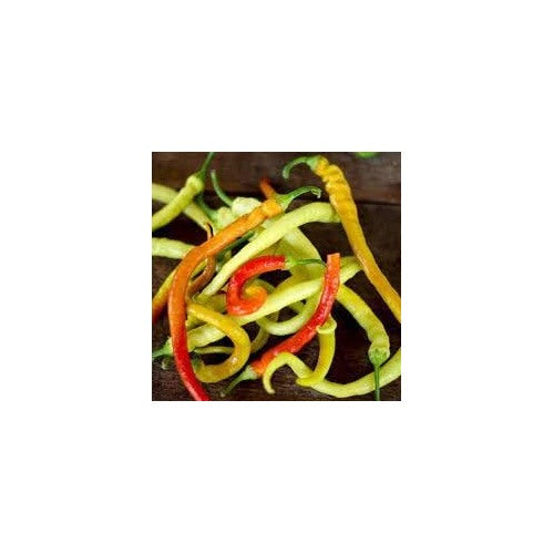 Corbaci Pepper Seeds for Planting [neera-v5-83f92653143221ae4fb6]
