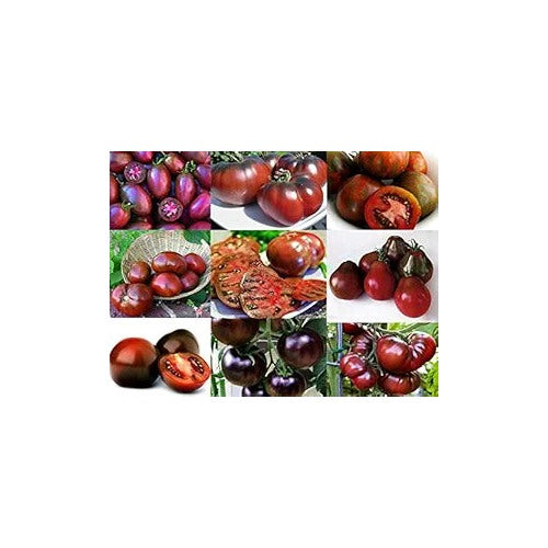 Mixed Black Tomato Seeds [neera-v5-840e7021fa137cf95f6c]