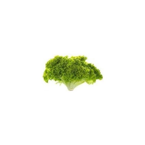 Batavia Lettuce Vegetable Seeds for Planting [neera-v5-84418052790afaefc3b7]