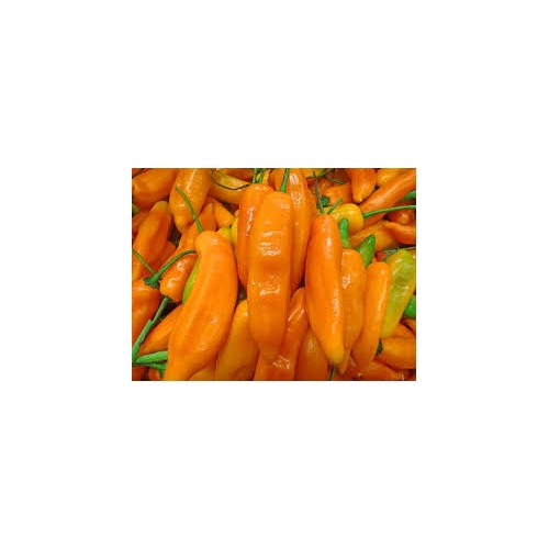 Aji Amarillo Seeds for Planting [neera-v5-845d412e961cfd35d5d9]
