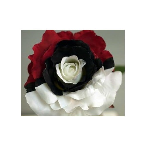 Black Pearl Rose Plant For Planting Non Gmo Heirloom Garden For Growing Flower Seeds for Home [neera-v5-84749c505a61daa62012]